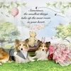 dogmom626